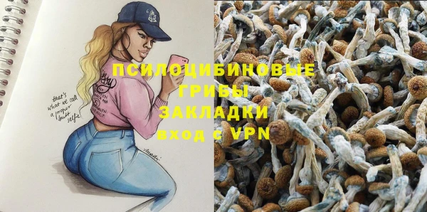 винт Лабытнанги