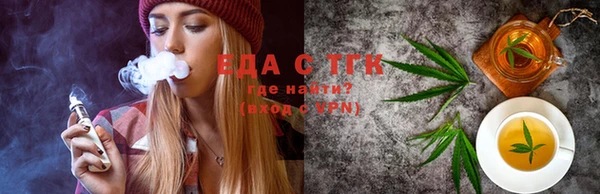 индика Кулебаки
