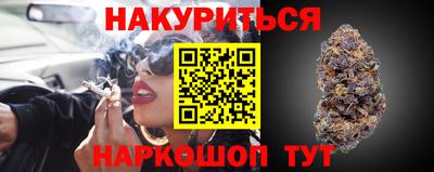 гашик Бийск