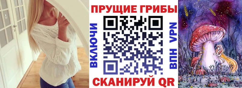 Галлюциногенные грибы Magic Shrooms нарко площадка какой сайт Новочебоксарск blacksprut ONION