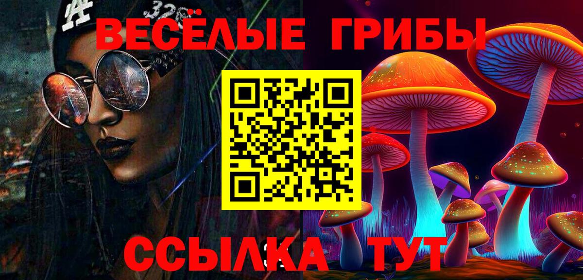 Новочебоксарск  Галлюциногенные грибы Psilocybine cubensis  Вход с VPN 