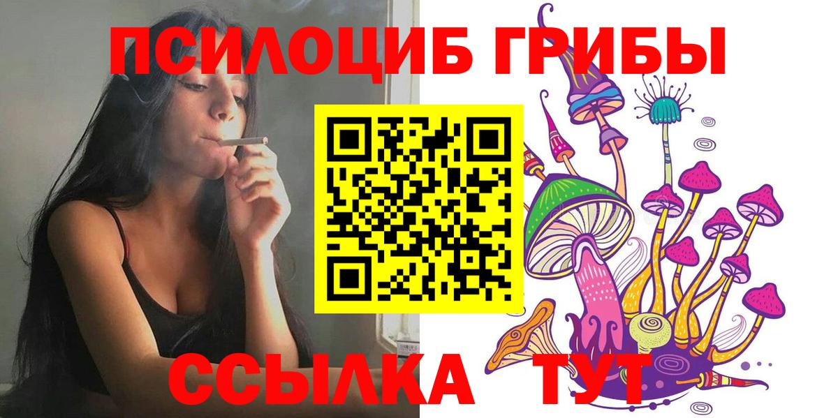 Псилоцибиновые грибы GOLDEN TEACHER  Новочебоксарск 