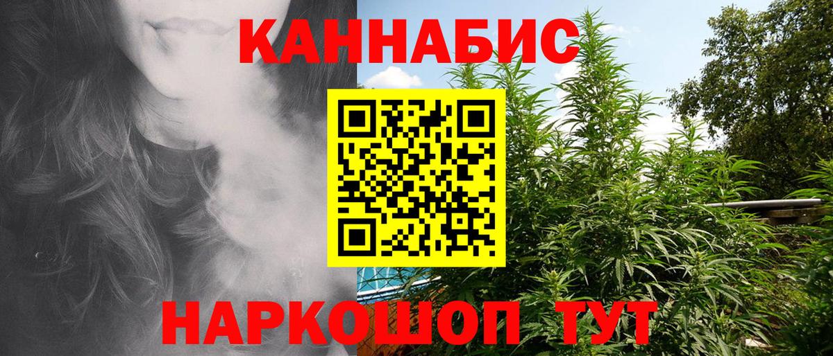 Конопля OG Kush  Конопля сатива  Новочебоксарск 
